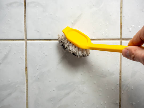 Best Black Mold Remediation in Chesapeake, VA