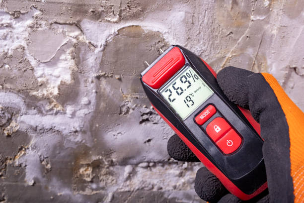 Best Commercial Mold Remediation in Chesapeake, VA